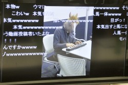 画像ギャラリー No.020のサムネイル画像 / 約800頭の頂点が決定。つばめちゃんへの愛も試された,3DS「ソリティ馬」公式大会「第2回ゲーフリカップ」ファイナルカップレポート