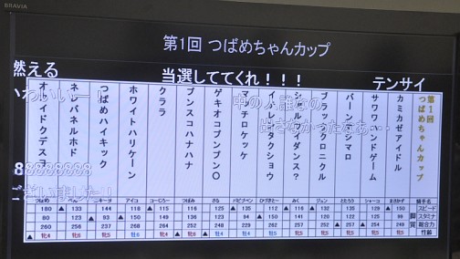 画像ギャラリー No.021のサムネイル画像 / 約800頭の頂点が決定。つばめちゃんへの愛も試された,3DS「ソリティ馬」公式大会「第2回ゲーフリカップ」ファイナルカップレポート