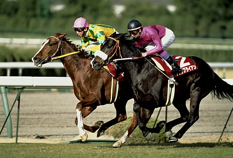 画像ギャラリー No.012のサムネイル画像 / ゲームフリークは競馬フリーク!?――ゲームフリーク×4Gamerで唐突に「日本ダービー」の結果予想企画を実施してみた