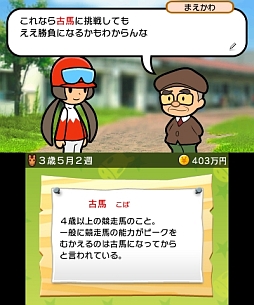 ソリティ馬