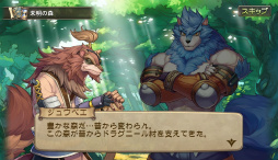 画像ギャラリー No.008のサムネイル画像 / いよいよサービスイン。シンプル操作で派手なバトルを楽しめるオンラインRPG「ブレス オブ ファイア 6 白竜の守護者たち」プレイレポート