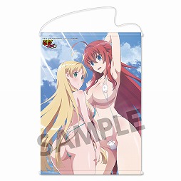 画像ギャラリー No.002のサムネイル画像 / 「ハイスクールD×D」,タペストリーの予約受付が開始