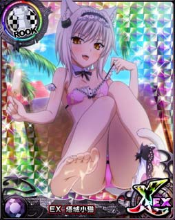 画像ギャラリー No.003のサムネイル画像 / 「ハイスクールD×D」,デートイベント“メイドとビキニと大掃除!”開催中