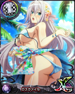 画像ギャラリー No.005のサムネイル画像 / 「ハイスクールD×D」，パレオと美女と南国リゾートを開催中