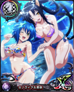 画像ギャラリー No.009のサムネイル画像 / 「ハイスクールD×D」，パレオと美女と南国リゾートを開催中