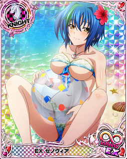画像ギャラリー No.002のサムネイル画像 / 「ハイスクールD×D」，アニバーサリーキャンペーン＆レイドイベント“真夏のビキニバケーション”を開催中