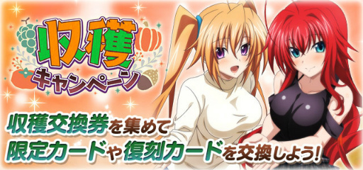 画像ギャラリー No.007のサムネイル画像 / 「ハイスクールD×D」,温泉美女と湯けむり浪漫イベントを開催