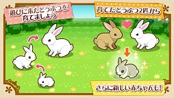 ハコニワ ふしぎな手紙とどうぶつ島