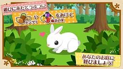 ハコニワ ふしぎな手紙とどうぶつ島