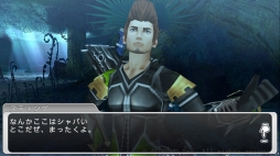 画像ギャラリー No.008のサムネイル画像 / 「ステラセプトオンライン」パイオー森林が舞台の新ストーリーが追加