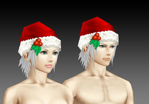 画像ギャラリー No.010のサムネイル画像 / 「ステラセプトオンライン」,ツリーで彩るクリスマスイベント2016が開催