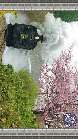 完乗!全国鉄道の旅