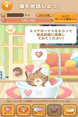 画像ギャラリー No.001のサムネイル画像 / ネコの育成もできるミニゲーム集「LINE ぽんぽんぽん」がスマホ向けに配信