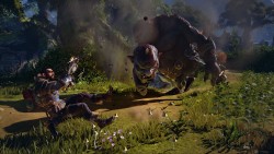 画像ギャラリー No.006のサムネイル画像 / ［E3 2014］善と悪，立場が変われば見えるものも変わる。4vs.1の非対称マルチプレイが楽しめる「Fable Legends」を体験してきた
