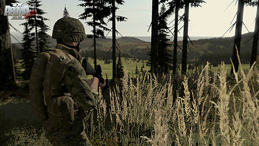 画像ギャラリー No.003のサムネイル画像 / 「ARMA 2」と拡張パック「Operation Arrowhead」をセットにした「ARMA 2: COMBINED OPERATIONS 日本語マニュアル付 英語版」が9月20日発売