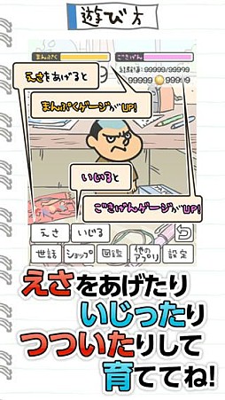 よしだ飼育キット
