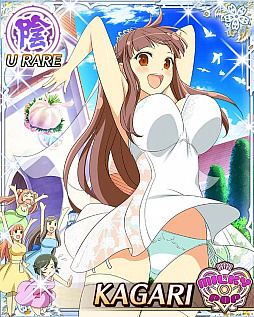 画像ギャラリー No.007のサムネイル画像 / 「閃乱カグラ NewWave Gバースト」で“教官を見つけ出せ！ドギマギ☆ウェディング”の後半が開催