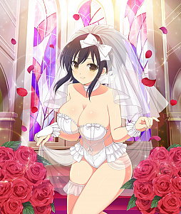 画像ギャラリー No.008のサムネイル画像 / 「閃乱カグラ NewWave Gバースト」で“教官を見つけ出せ！ドギマギ☆ウェディング”の後半が開催