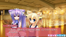 Tiny Dungeon 〜BLESS of DRAGON〜