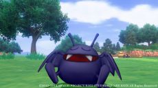 画像ギャラリー No.007のサムネイル画像 / 「ドラゴンクエストX」，仲間モンスターの必殺技など，実装迫る「モンスターバトルロード」の新情報が公開。「ドラキー」のスカウトも可能に