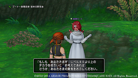 画像ギャラリー No.008のサムネイル画像 / 「ドラゴンクエストX」,Ver.2.4で実装されるレンダーシアストーリー最終章や,期間限定実装となる新しい遊び「クイズスライム」の情報が公開
