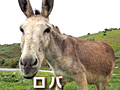 またヤギか……いやロバや！　セガが謎のようで謎ではない新動画「ロバです」を公開