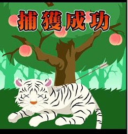 画像ギャラリー No.012のサムネイル画像 / カードバトル「三国ヴィジョリオン」が配信中。美少女だけの最強部隊を作ろう