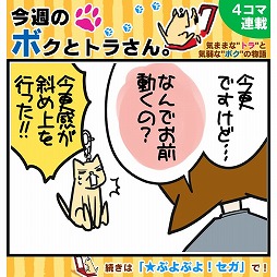 画像ギャラリー No.001のサムネイル画像 / 「★ぷよぷよ！セガ」，New 3DSなどが当たるプレゼントキャンペーンを実施