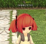 画像ギャラリー No.030のサムネイル画像 / 「Hオンライン」，第1回クローズドβテストのレポートが公開。所属勢力や職業の比率をチェックしよう