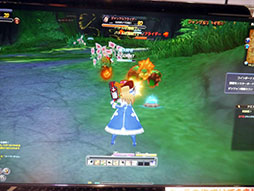 画像ギャラリー No.011のサムネイル画像 / ［TGS 2014］バトルと滑空が楽しい「Sky・Lore」。DMMゲームズブースのTGS特別バージョンでいろいろなスキルを試してみよう