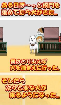 校庭に犬w