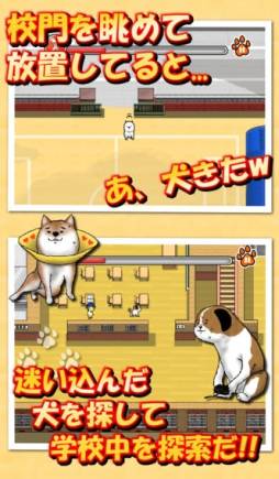 校庭に犬w