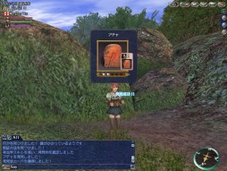 画像ギャラリー No.004のサムネイル画像 / 「大航海時代 Online」，航海者としての実力が試される期間限定イベント