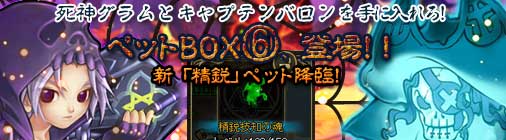 画像ギャラリー No.001のサムネイル画像 / 「チョコナイト」，人気ペットが入った「ペットBOX(6)」の再販を開始
