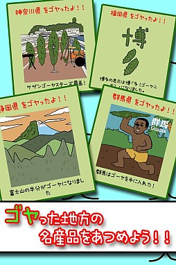 毎日のゴーヤ