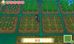 画像ギャラリー No.010のサムネイル画像 / 人気シリーズ最新作「牧場物語 つながる新天地」の1か月を実体験。ほのぼの箱庭牧場ライフは,けっこうハードな日常だ