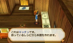 画像ギャラリー No.016のサムネイル画像 / 人気シリーズ最新作「牧場物語 つながる新天地」の1か月を実体験。ほのぼの箱庭牧場ライフは,けっこうハードな日常だ