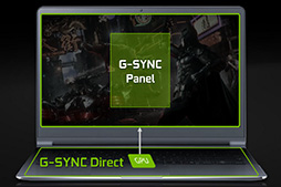 画像ギャラリー No.016のサムネイル画像 / 西川善司の3DGE：DirectX 12.0と12.1の違いからG-SYNCの新情報まで。NVIDIAが明かす「あなたの知らないGeForce」