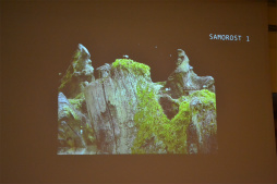 画像ギャラリー No.007のサムネイル画像 / アーティスト達の精神が結晶となった奇跡の作品「Samorost 3」。その制作の舞台裏が語られたセッションをレポート