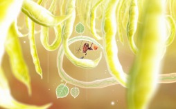 画像ギャラリー No.008のサムネイル画像 / 「Botanicula」と「Machinarium」が日本のユーザー向けに配信開始