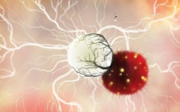 画像ギャラリー No.017のサムネイル画像 / 「Botanicula」と「Machinarium」が日本のユーザー向けに配信開始