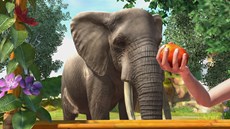 画像ギャラリー No.005のサムネイル画像 / 「Zoo Tycoon」Xbox 360版が3月20日に発売決定。Xbox One版も年内の発売を予定