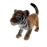 画像ギャラリー No.006のサムネイル画像 / 「Zoo Tycoon」無料体験版やアバターアイテムを3月12日より配信。体験版をプレイして動物達とのふれあいや経営を学ぼう