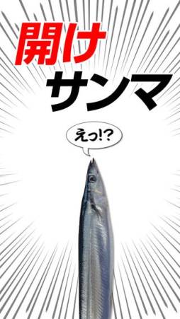 開けサンマ