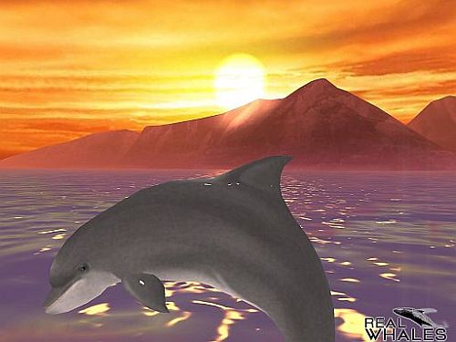 画像ギャラリー No.002のサムネイル画像 / クジラやイルカを撮影できる癒やし系アプリ「リアルホエール」が配信スタート