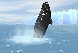 画像ギャラリー No.003のサムネイル画像 / クジラやイルカを撮影できる癒やし系アプリ「リアルホエール」が配信スタート