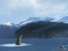 画像ギャラリー No.005のサムネイル画像 / クジラやイルカを撮影できる癒やし系アプリ「リアルホエール」が配信スタート