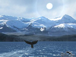 画像ギャラリー No.006のサムネイル画像 / クジラやイルカを撮影できる癒やし系アプリ「リアルホエール」が配信スタート