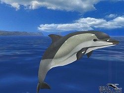 画像ギャラリー No.008のサムネイル画像 / クジラやイルカを撮影できる癒やし系アプリ「リアルホエール」が配信スタート