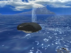 画像ギャラリー No.010のサムネイル画像 / クジラやイルカを撮影できる癒やし系アプリ「リアルホエール」が配信スタート
